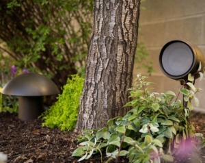 GA-Sat_UndergroundSub-750x594