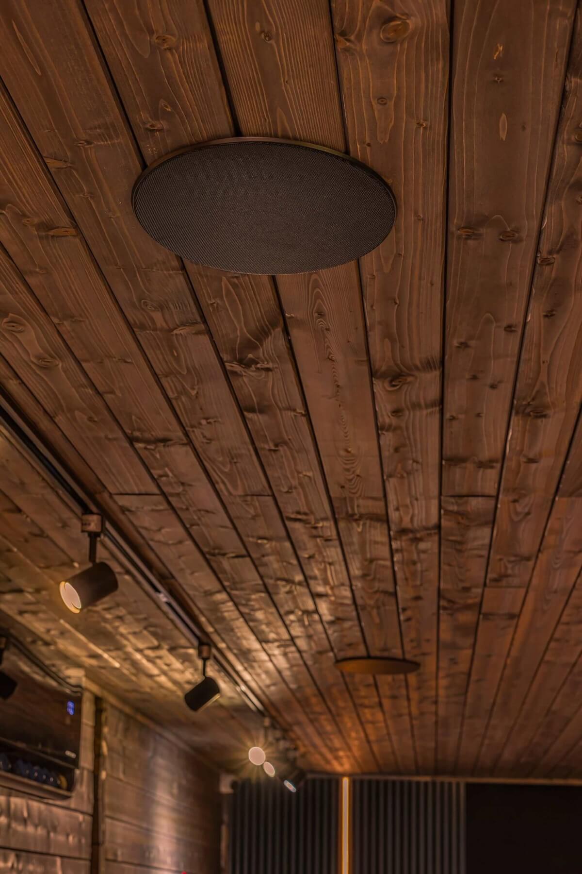Titan Inceiling Speaker (1)