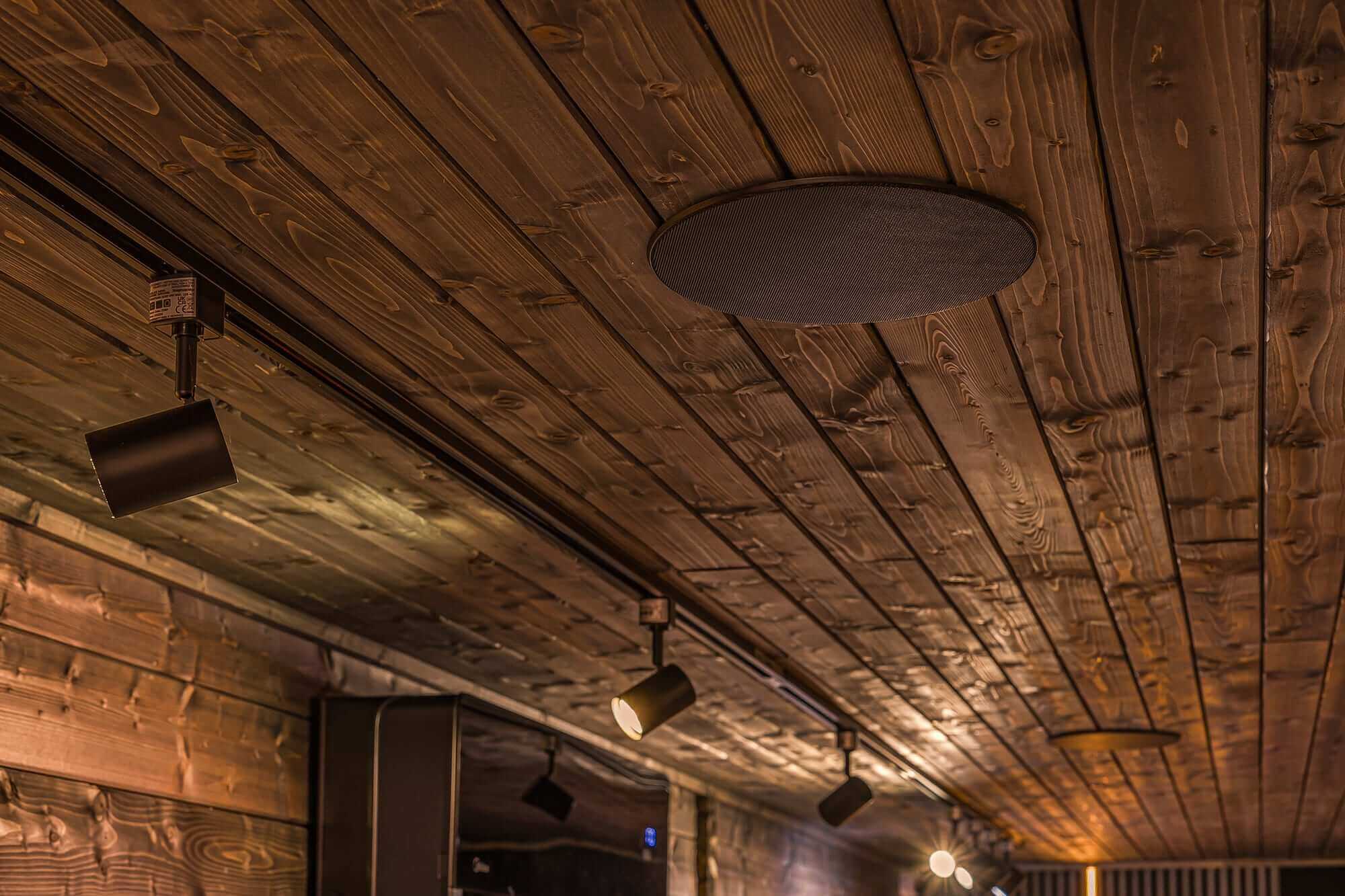 Titan Inceiling Speaker Horizontal (1)