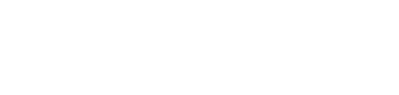 Pro Media Solutions Logo